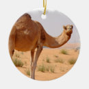 Pesquisar por camelo ornamentos Animal
