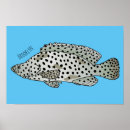 Pesquisar por garoupa pôsteres pósteres Peixe