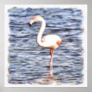 Pesquisar por amor flamingo pôsteres pósteres Flamingos