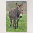 Pesquisar por pastagem Burro
