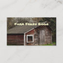 Pesquisar por aves domésticas cartao de visita Galinhas