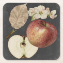 Pesquisar por estudo porta copos Carvão