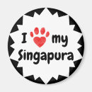 Pesquisar por gato do singapura Gatinho