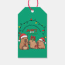 Pesquisar por capivara Urso