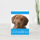 Pesquisar por chocolate labrador retriever cartoes Cachorros