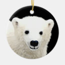 Pesquisar por urso polar ornamentos Neve