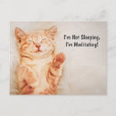 Pesquisar por meme gatinho cartoes postais Qualquer pessoa