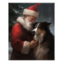 Pesquisar por de border collie pósteres Natal