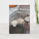 Pesquisar por golden retriever puppy cartoes Pets