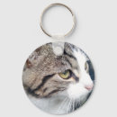 Pesquisar por cat cute chaveiros Pet