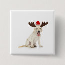 Pesquisar por em com nos antlers botons Animais