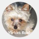 Pesquisar por yorkshire terrier adesivos Filhote de cachorro