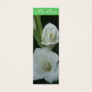 Pesquisar por gladiola Branco