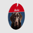 Pesquisar por para chocolate ornamentos Para pets