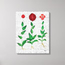 Pesquisar por italiano pôsteres impressão de canvas Steampunk