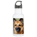 Pesquisar por para cão garrafa agua Qualquer pessoa