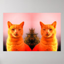 Pesquisar por anjo gato pôsteres pósteres Para todos