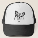 Pesquisar por cão da chihuahua bones Animal