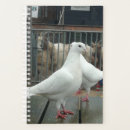 Pesquisar por pombo agendas Branco