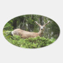 Pesquisar por parque animal selvagem adesivos Natureza