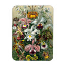 Pesquisar por século xix imas Colheita