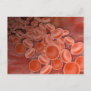 Pesquisar por glóbulos cartoes postais Biologia celular