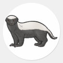 Pesquisar por texugo adesivos Animais selvagens