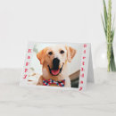 Pesquisar por anterior cartoes Fotografia