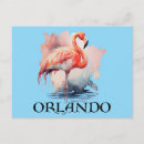 Pesquisar por pink flamingo cartoes postais Florida