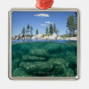 Pesquisar por transparente ornamentos Horizontal
