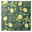 Pesquisar por decoração da cozinha azulejos Casal