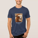 Pesquisar por sobrancelhas camisetas Humor