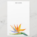 Pesquisar por costume papel de carta Botânico