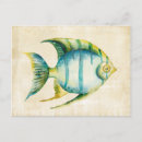 Pesquisar por peixes do aquário cartoes postais Vida marinha
