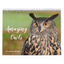 Pesquisar por coruja calendarios Aves de rapina