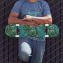 Pesquisar por pavão skates Plumagem