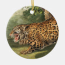 Pesquisar por jaguar ornamentos Vida selvagem