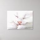 Pesquisar por tiro impressão de canvas Animal