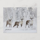 Pesquisar por dedos cartoes Inverno