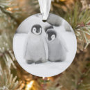 Pesquisar por pinguim imperador ornamentos Pinguins
