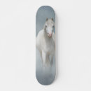 Pesquisar por cavalo branco skates Animal