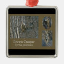 Pesquisar por marrons ornamentos Natureza