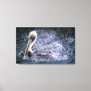 Pesquisar por grande formato impressão de canvas Danita delimont