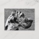 Pesquisar por great escritorio escola Animal