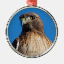 Pesquisar por magnífico ornamentos Para todos