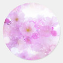 Pesquisar por flores de cerejeira adesivos Cereja floresce