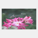 Pesquisar por lilas adesivos Flores