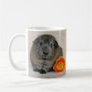 Pesquisar por guinea pig canecas Cavy
