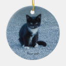 Pesquisar por gatinho preto ornamentos Animal