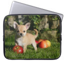 Pesquisar por jovem corça laptop sleeves Filhote de cachorro
